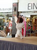 Show SBC Tai Chi